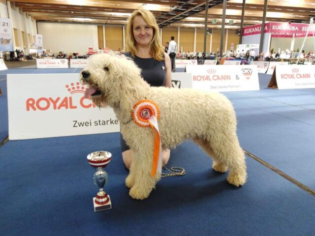 64740658_442591962983444_8060394098252578816_n