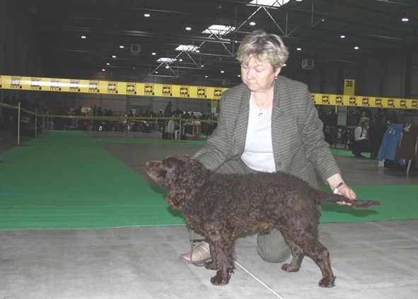 Night Hawk’s Classic Orinoco