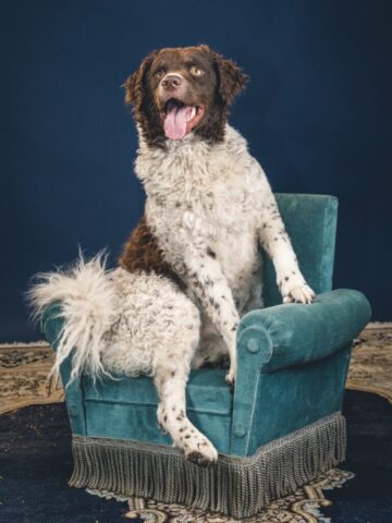 Romboutshoot-4-062-768×1024