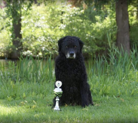 Schermafbeelding-2019-05-05-om-20.58.03-768×682